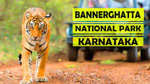 cabs from bannerghatta national park