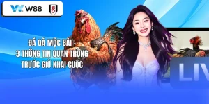 Đá Gà Mộc Bài