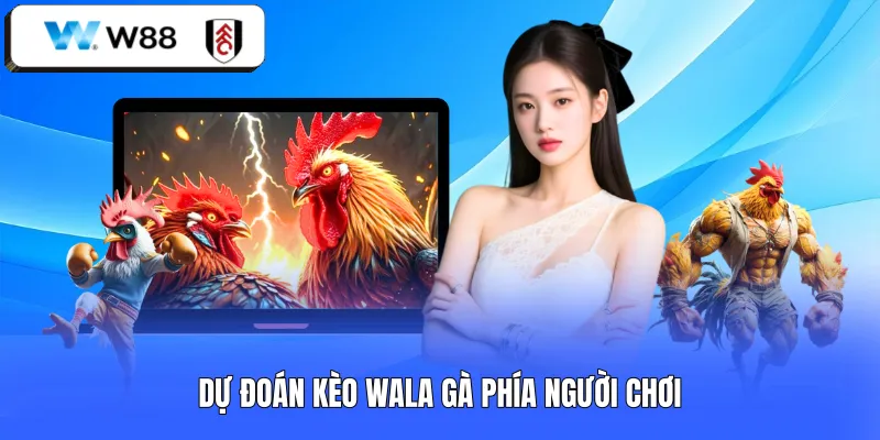 Dự đoán kèo Wala gà phía người chơi